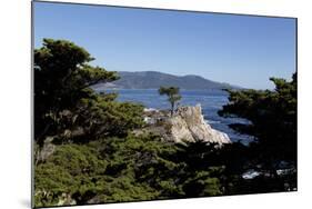 Lone Cypress on the 17-Mile Drive, Monterey Peninsula, California-Carol Highsmith-Mounted Photo