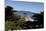 Lone Cypress on the 17-Mile Drive, Monterey Peninsula, California-Carol Highsmith-Mounted Photo