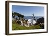 Lone Cypress on the 17-Mile Drive, Monterey Peninsula, California-Carol Highsmith-Framed Photo