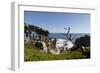 Lone Cypress on the 17-Mile Drive, Monterey Peninsula, California-Carol Highsmith-Framed Photo