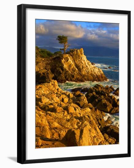 Lone cypress on the coast, Pebble Beach, Monterey County, California, USA-null-Framed Photographic Print