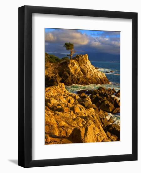 Lone cypress on the coast, Pebble Beach, Monterey County, California, USA-null-Framed Photographic Print