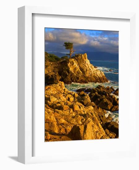 Lone cypress on the coast, Pebble Beach, Monterey County, California, USA-null-Framed Photographic Print