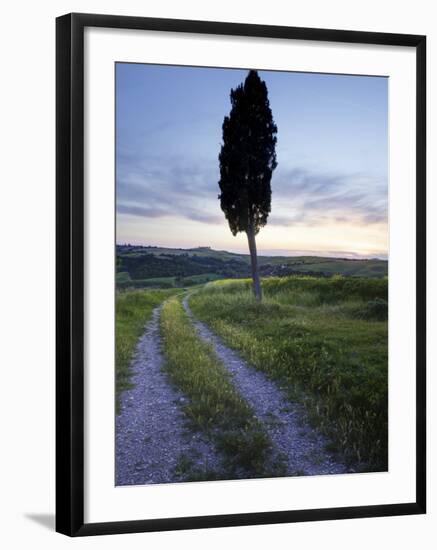 Lone Cypress Tree at Sunset, Near Pienza, Tuscany, Italy, Europe-Lee Frost-Framed Photographic Print