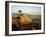 Lone Cypress Tree on Rocky Outcrop at Dusk, Carmel, California, USA-Howell Michael-Framed Photographic Print