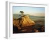 Lone Cypress Tree on Rocky Outcrop at Dusk, Carmel, California, USA-Howell Michael-Framed Photographic Print