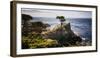 Lone Cypress Tree-George Oze-Framed Photographic Print