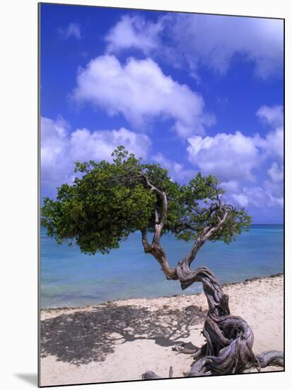 Lone Divi Tree, Aruba, Caribbean-Bill Bachmann-Mounted Photographic Print