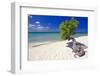Lone Divi Tree on a Beach, Aruba-George Oze-Framed Photographic Print