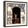 Lone donkey in his stable, Malaga Province, Andalucia, Spain-Panoramic Images-Framed Photographic Print