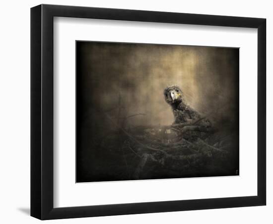 Lone Eaglet in the Nest-Jai Johnson-Framed Premium Giclee Print