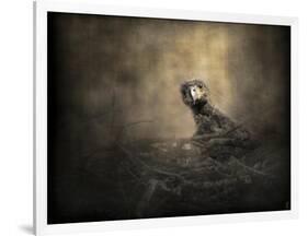 Lone Eaglet in the Nest-Jai Johnson-Framed Giclee Print