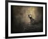 Lone Eaglet in the Nest-Jai Johnson-Framed Giclee Print