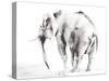 Lone Elephant Gray Crop-Aimee Del Valle-Stretched Canvas