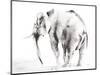 Lone Elephant Gray Crop-Aimee Del Valle-Mounted Art Print