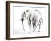 Lone Elephant Gray Crop-Aimee Del Valle-Framed Art Print