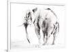 Lone Elephant Gray Crop-Aimee Del Valle-Framed Art Print