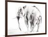 Lone Elephant Gray Crop-Aimee Del Valle-Framed Art Print