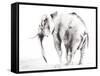 Lone Elephant Gray Crop-Aimee Del Valle-Framed Stretched Canvas