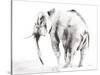 Lone Elephant Gray Crop-Aimee Del Valle-Stretched Canvas