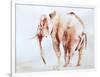 Lone Elephant-Aimee Del Valle-Framed Art Print