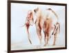 Lone Elephant-Aimee Del Valle-Framed Art Print