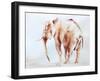 Lone Elephant-Aimee Del Valle-Framed Art Print