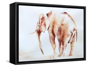 Lone Elephant-Aimee Del Valle-Framed Stretched Canvas
