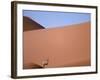 Lone Gemsbok Walking On Sand Dunes-Richard Olivier-Framed Photographic Print