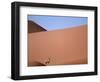 Lone Gemsbok Walking On Sand Dunes-Richard Olivier-Framed Photographic Print