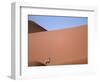 Lone Gemsbok Walking On Sand Dunes-Richard Olivier-Framed Photographic Print