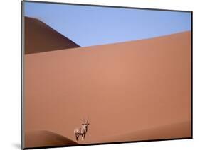 Lone Gemsbok Walking On Sand Dunes-Richard Olivier-Mounted Photographic Print