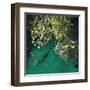 Lone Giraffe-Nancy Tillman-Framed Art Print