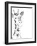 Lone Giraffe-Pam Varacek-Framed Art Print