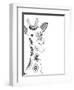 Lone Giraffe-Pam Varacek-Framed Art Print