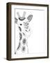 Lone Giraffe-Pam Varacek-Framed Art Print