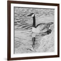 Lone Goose 2-Rusty Frentner-Framed Giclee Print