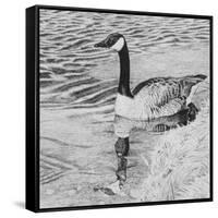 Lone Goose 2-Rusty Frentner-Framed Stretched Canvas