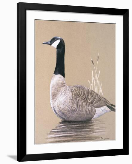 Lone Goose-Rusty Frentner-Framed Giclee Print