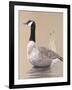 Lone Goose-Rusty Frentner-Framed Giclee Print