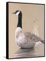 Lone Goose-Rusty Frentner-Framed Stretched Canvas