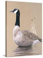 Lone Goose-Rusty Frentner-Stretched Canvas