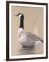 Lone Goose-Rusty Frentner-Framed Giclee Print