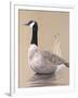 Lone Goose-Rusty Frentner-Framed Giclee Print