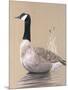 Lone Goose-Rusty Frentner-Mounted Giclee Print