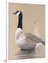 Lone Goose-Rusty Frentner-Framed Giclee Print