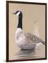 Lone Goose-Rusty Frentner-Framed Giclee Print