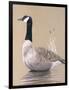 Lone Goose-Rusty Frentner-Framed Giclee Print