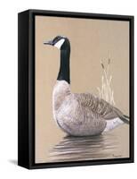 Lone Goose-Rusty Frentner-Framed Stretched Canvas