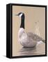 Lone Goose-Rusty Frentner-Framed Stretched Canvas